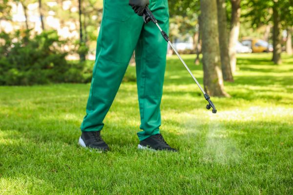 Portland Lawn Treatment
