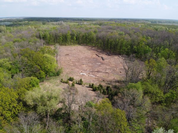 Portland Land Clearing