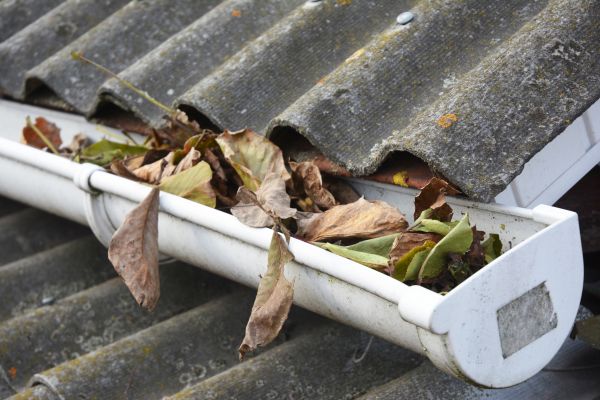 Portland Gutter Cleaning